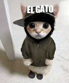 12345 emote for Discord