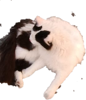 1692348126778 emote for Discord