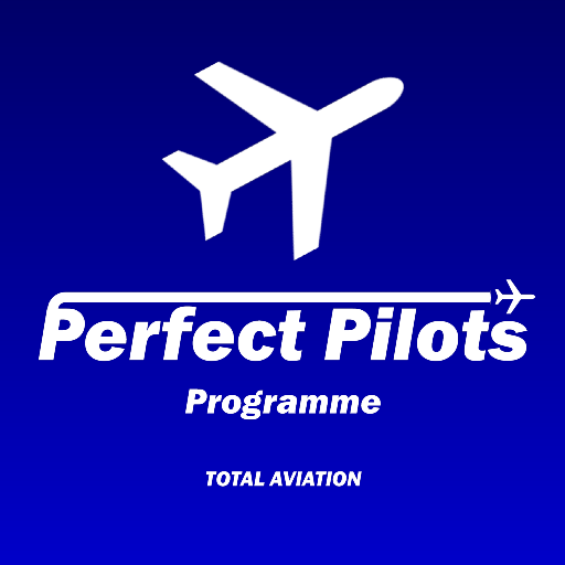 perfect_pilot_logo emote for Discord
