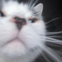 cat_deepseacreature emote for Discord