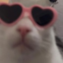 monkey_cat_luna_glasses emote for Discord