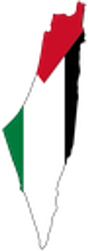 Palestine emote for Discord