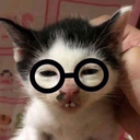 CE_Ackshually emote for Discord