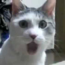 CE_Shock emote for Discord