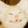 CE_Smile5 emote for Discord