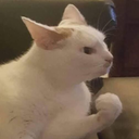 CE_Plotting emote for Discord
