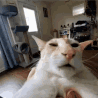 CE_ong emote for Discord