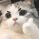 CE_AngerYes static emote