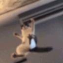 CE_CatKick emote for Discord