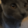 CE_Kith4 emote for Discord