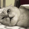 CE_SleepTime emote for Discord