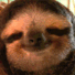 CE_BlankStare emote for Discord