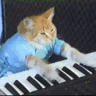 CE_KeyboardCat emote for Discord