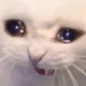 CE_Sob2 emote for Discord