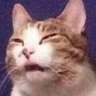CE_Confused3 emote for Discord