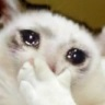 CE_Happynt emote for Discord