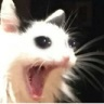 CE_SCREAMMMMM6 emote for Discord