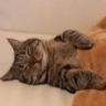 CE_Eepy emote for Discord