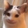 CE_AwkwardSmile emote for Discord