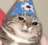 CE_SadWizard emote for Discord