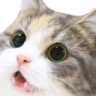 CE_Wowww emote for Discord