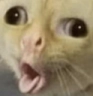 CE_Goofy emote for Discord
