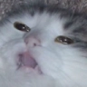 CE_Slumped2 emote for Discord