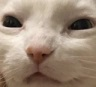CE_Squint2 emote for Discord