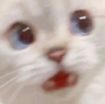 CE_SCREMMMMMM5 emote for Discord