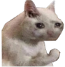CE_UglyCry3 emote for Discord