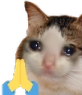 CE_PrayingForU emote for Discord