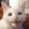 CE_Smile4 emote for Discord