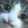 CE_Didnotlaugh emote for Discord