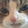 CE_MAD emote for Discord