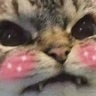 CE_AngeryBlush emote for Discord