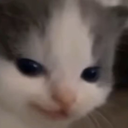 CE_Smug2 emote for Discord