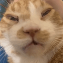 CE_ActualSuffering emote for Discord