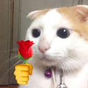 CE_Flower4U emote for Discord