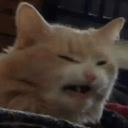 CE_DISGUSTING emote for Discord