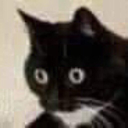 CE_CtaTraumatiza emote for Discord