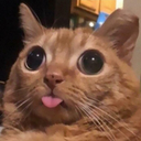 CE_Blep5 emote for Discord