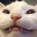 CE_Smile3 emote for Discord