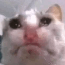 CE_UglyCry2 emote for Discord