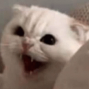 CE_Anger4 emote for Discord