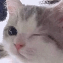 CE_Wink2 emote for Discord