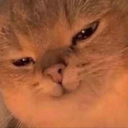 CE_Smug emote for Discord