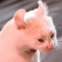 CE_Gritito emote for Discord