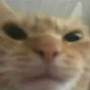 CE_Anger3 emote for Discord