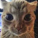CE_Violencia emote for Discord