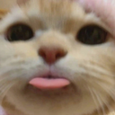 CE_Blep4 emote for Discord